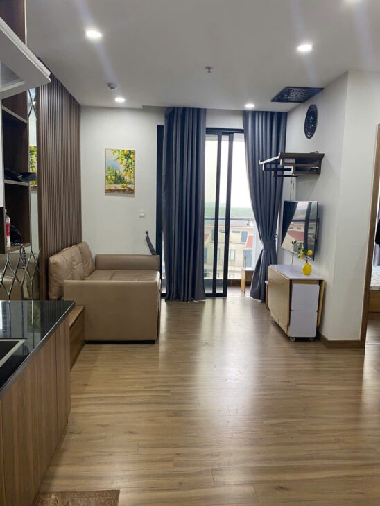 Bán căn hộ 2 ngủ Ecopark tầng 6, view sông, full nội thất cao cấp, đang cho thuê 8tr/tháng – giá