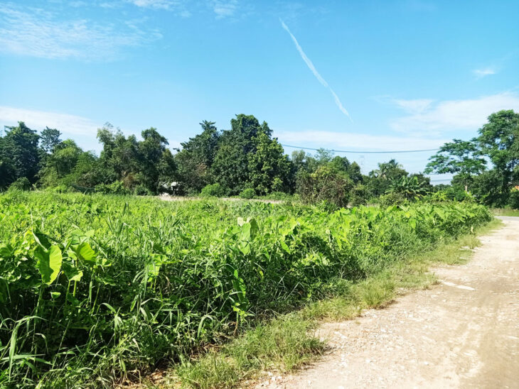 Bán đất 1/ đường 148 – 135m2 – 5×27 – 129m2 thổ cư – xã Bình Mỹ – Củ Chi