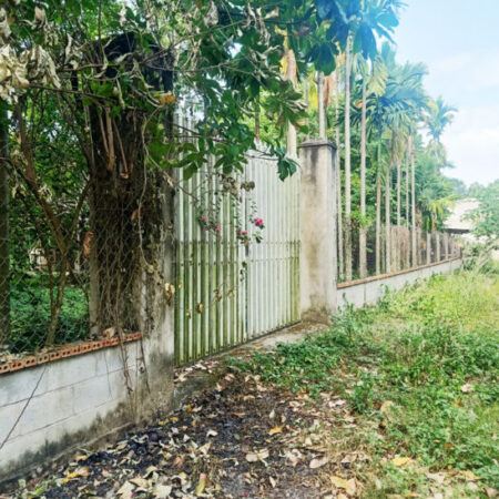 Bán nhà vườn 1/ đường 437 – 1653m2 – 30×59 – 300m2 thổ cư – xã Phú Hòa Đông – Củ Chi