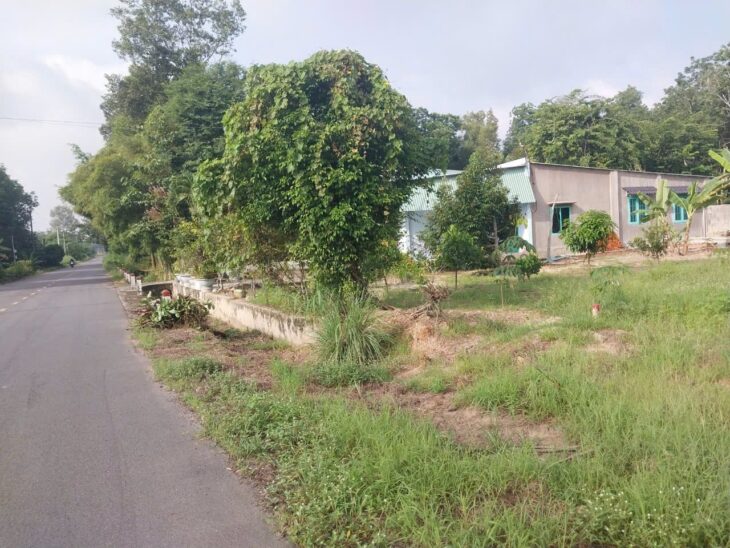 ĐẤT BẦU BÀNG BÌNH DƯƠNG NẰM CẠNH KHU CÔNG NGHIỆP