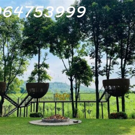 TỔ HỢP NGHỈ DƯỠNG CAO CẤP SOCA VILLA – BA VÌ