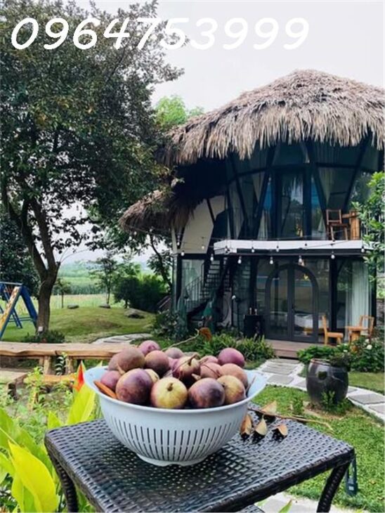 TỔ HỢP NGHỈ DƯỠNG CAO CẤP SOCA VILLA – BA VÌ