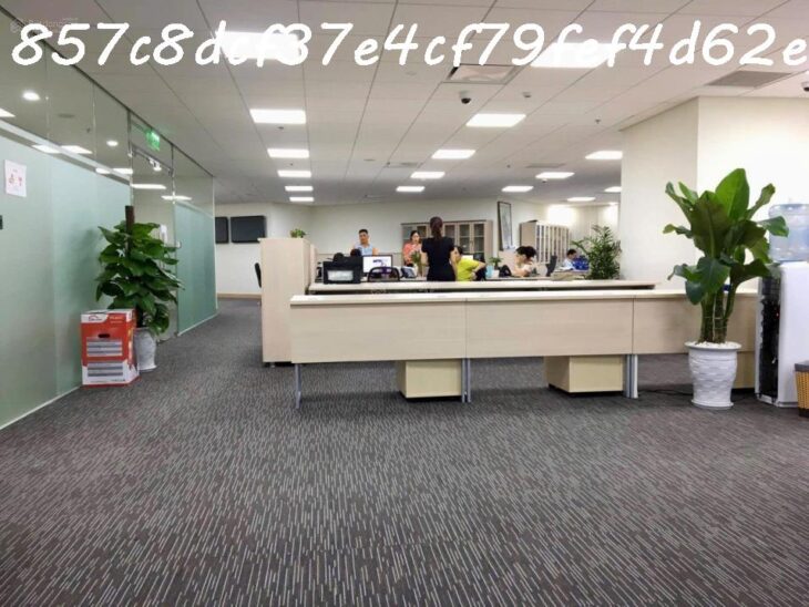 AI Bán nhà 228m² Lý Thường Kiệt, Tân Bình, 90 tỷ, sổ đỏ