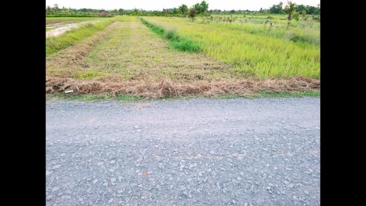 80 triệu sang tên 5×30 thổ gần DT 823,góp mỗi tháng 2,5 triệu