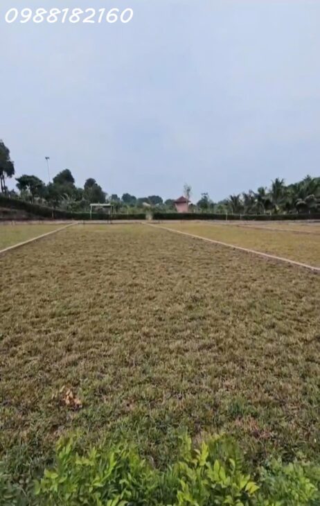 LÔ ĐẤT CỰC PHẨM, VIEW SUỐI THOÁNG ĐẸP TẠI ĐÔ THỊ VỆ TINH LỚN NHẤT HÀ NỘI