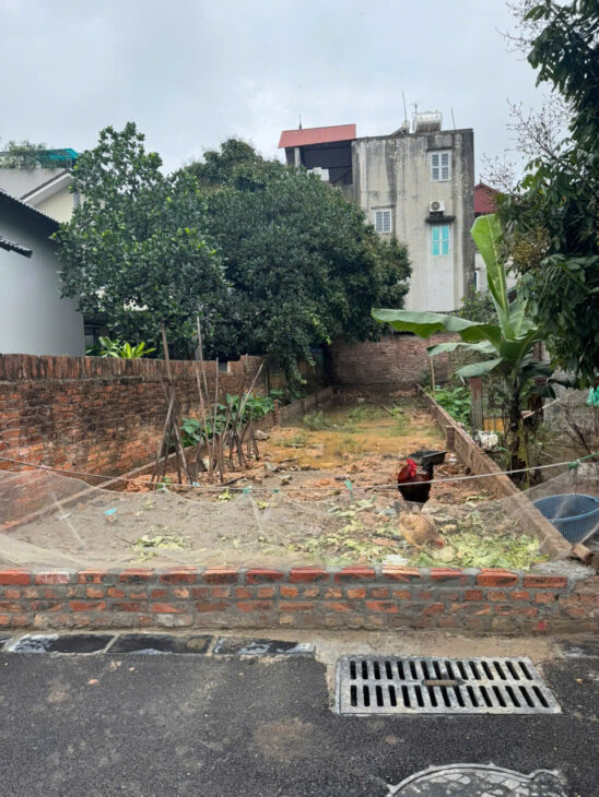 BÁN ĐẤT NAM HỒNG – THÔN ĐÌA