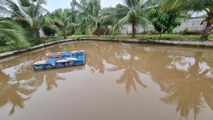 BÁN ĐẤT – ĐT 830 – BẾN LỨC – LONG AN – 7900M2 – NGANG 60 X 130M – CHỈ 69 TỈ