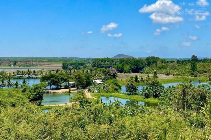 Hàng hiếm tại Xã Long Tân, Long Đất, Bà Rịa Vũng Tàu, 170m2 giá 6xx