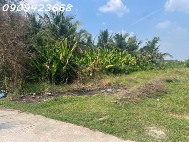 BÁN NHANH LÔ ĐẤT SIÊU TIỀM NĂNG – SÁT VINHOMES 197HA ĐỨC HÒA, LONG AN – GIÁ CHỈ 1,95 TỶ