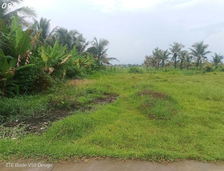 BÁN NHANH LÔ ĐẤT SIÊU TIỀM NĂNG – SÁT VINHOMES 197HA ĐỨC HÒA, LONG AN – GIÁ CHỈ 1,95 TỶ