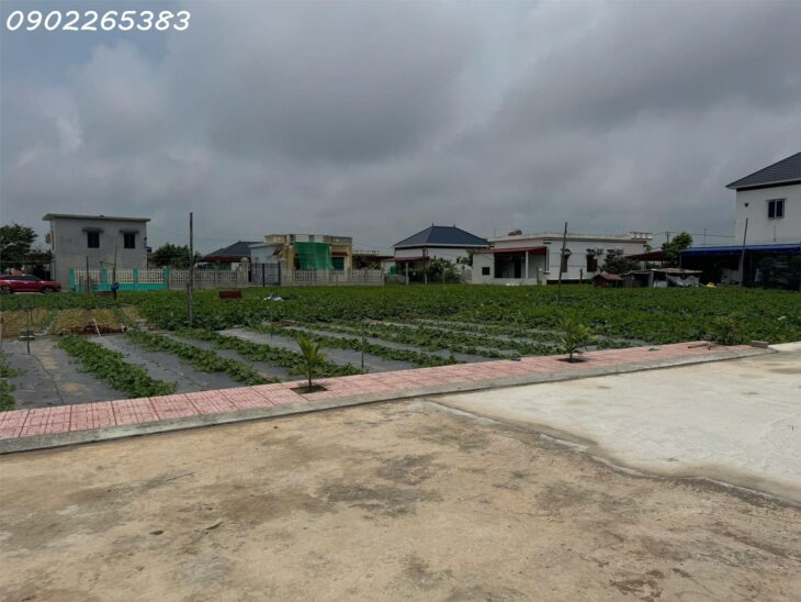Bán gấp 2 lô đất nền 89m2 và 91m2 tại Xã Giao Phong Giao Thủy Nam Định giá chỉ nhỉnh 2 tỷ