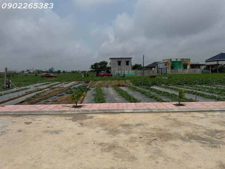 Bán gấp 2 lô đất nền 89m2 và 91m2 tại Xã Giao Phong Giao Thủy Nam Định giá chỉ nhỉnh 2 tỷ