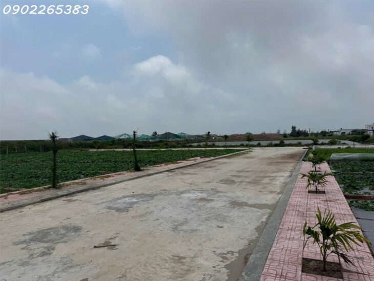 Bán gấp 2 lô đất nền 89m2 và 91m2 tại Xã Giao Phong Giao Thủy Nam Định giá chỉ nhỉnh 2 tỷ