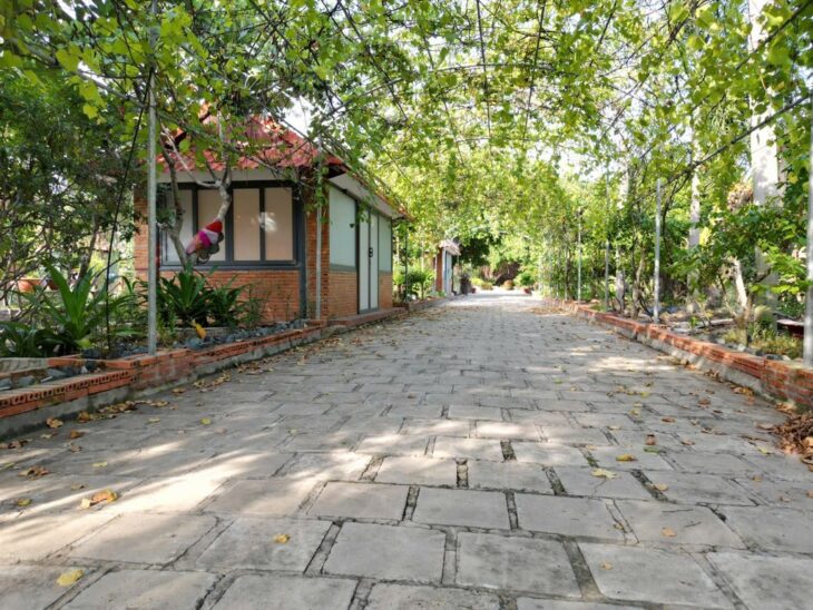 Cơ Hội Đầu Tư 10.000m2 đất Mặt Tiền Hưng Long, Bình Chánh Chỉ 80 Tỷ