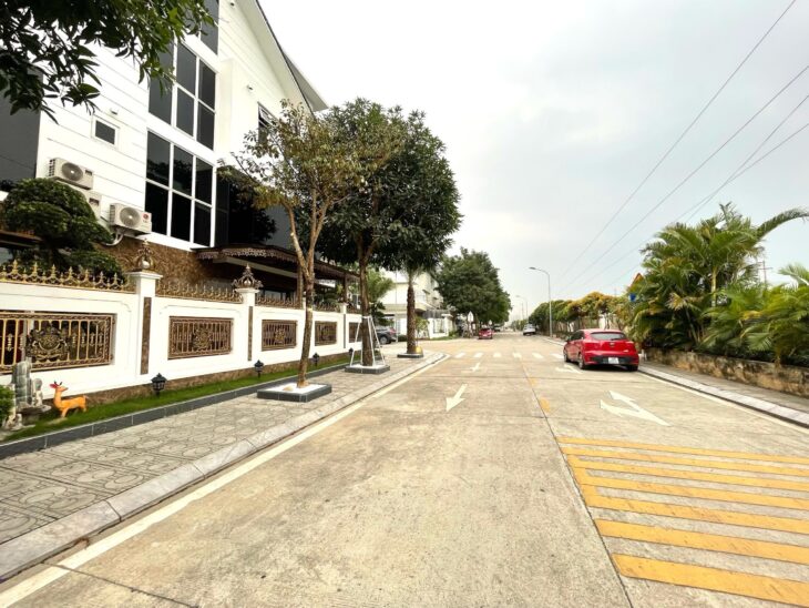 Chính chủ bán lô đất biệt thự Đền Lừ 3, 112m, mặt tiền 8m, 250triệu/m, cạnh LOUIS city HOÀNG MAI