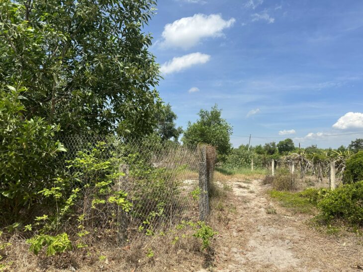 Đất Biển LaGi 1069m2 Tân Tiến, thị xã LaGi gần Biển Tam Tân giá ngộp