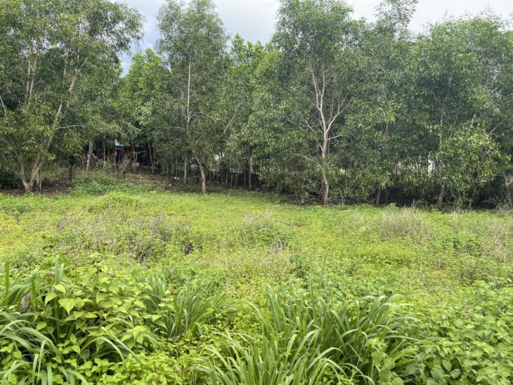 Chỉ 750 triệu đất full thổ cư Hẻm Nguyễn Chí Thanh, Tân Bình, LaGi sổ riêng