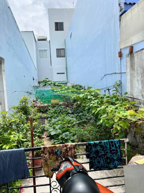 Bán đất trung tâm Bình Thạnh, 74m² nở hậu – GIÁ 6 TỶ TL – hẻm 3 gác gần mặt tiền Đinh Bộ Lĩnh