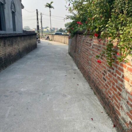 Bán gấp giá rẻ Giải Phóng 32m, 1.5 tầng, mặt tiền 4.5m, 700 triệu, Hoàng Mai.