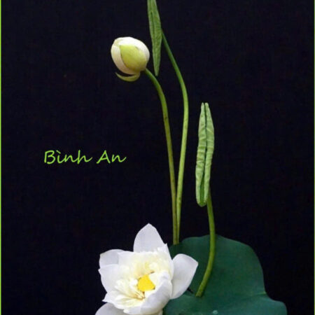 Bán gấp giá rẻ Mai Hương 20m, 4 tầng, mặt tiền 3m, 3 tỷ Hai Bà Trưng.