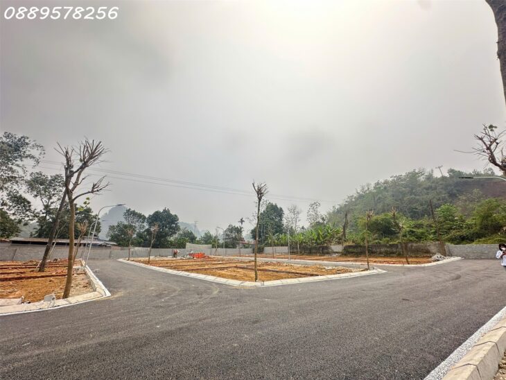 ĐẦU TƯ TỐI THIỂU – LỢI NHUẬN TỐI ĐA