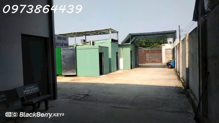 CƠ HỘI ĐẦU TƯ SIÊU HẤP DẪN – SANG NHƯỢNG TRANG TRẠI NẤM CÔNG NGHỆ CAO TẠI CỦ CHI