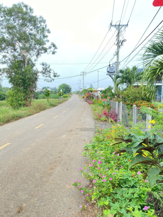 ĐẤT BẦU BÀNG BÌNH DƯƠNG NẰM CẠNH KHU CÔNG NGHIỆP