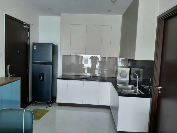 CHÍNH CHỦ CẦN CHO THUÊ CĂN HỘ C SKYVIEW TẠI CHÁNH NGHĨA – THỦ DẦU MỘT
