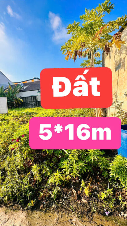 🏆Bán Đất Cách Chợ Đường 100m 5 x 16 Full thổ cư- đường ô tô- giá 2,95 tỷ còn bớt✅ 🌻Diện tích