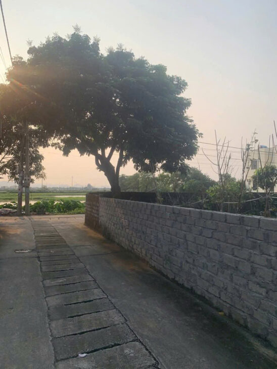 Sở hữu ngay lô đất mặt hồ Quỳnh Chân chỉ với 21 triệu/m²,150m2. cách Công Viên Nước SunWorld 500m