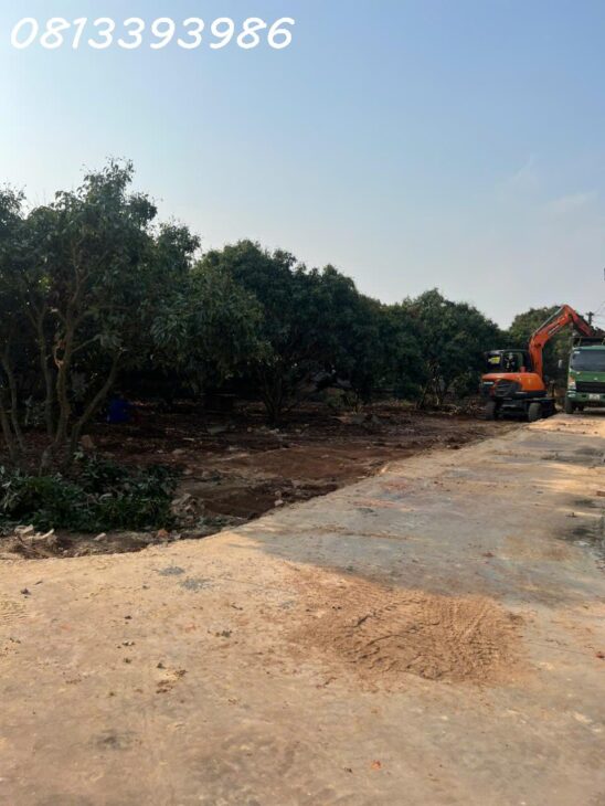 CƠ HỘI VÀNG – ĐẦU TƯ ĐẤT NỀN NGAY CHỢ SÀN, NGỌC SƠN, LỤC NAM