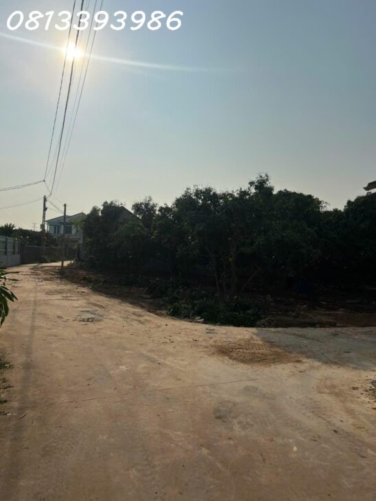 CƠ HỘI VÀNG – ĐẦU TƯ ĐẤT NỀN NGAY CHỢ SÀN, NGỌC SƠN, LỤC NAM