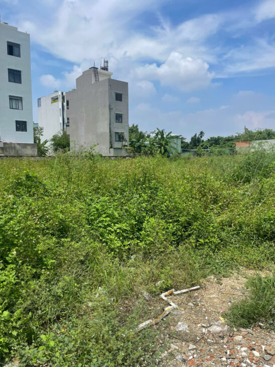 Bán đất 3395m2 full thổ cư giá 115 tỷ Đường 12m Võ Thị Liễu