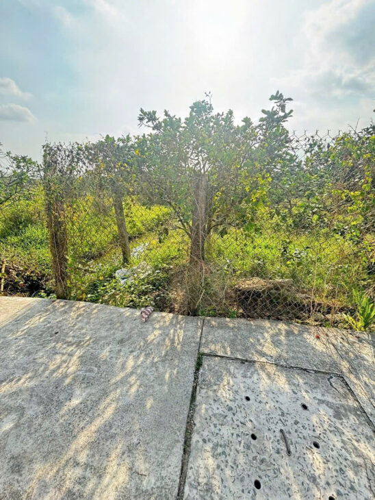 Bán Đất Mỹ Tho 10x79m DH89 vô 50m Giá 1.25 tỷ Kế Bên Chọ Mỹ Phong