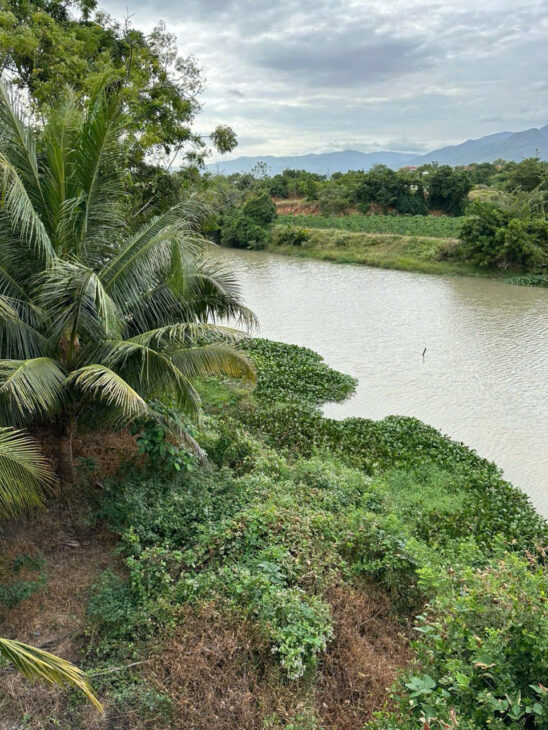 ???? 290 TRIỆU – BÁN GẤP 1.776M² ĐẤT NÔNG NGHIỆP – MẶT SÔNG, ĐƯỜNG Ô TÔ ĐẾN ĐẤT ???? ???? Vị trí: • Đất