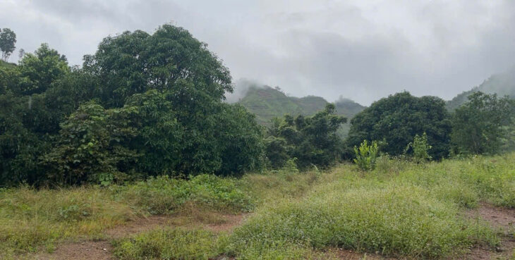 BÁN LÔ ĐẤT THÔN TÂY NAM, XÃ SÔNG CẦU, HUYỆN KHÁNH VĨNH, KHÁNH HOÀ.