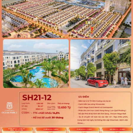 SH21-12 vinhomes ocean park 2 Siêu phẩm biệt thự nhà vườn siêu hot
