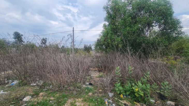 Bán 1197m2 đất đường Trần Quang Diệu, LaGi giá ngộp