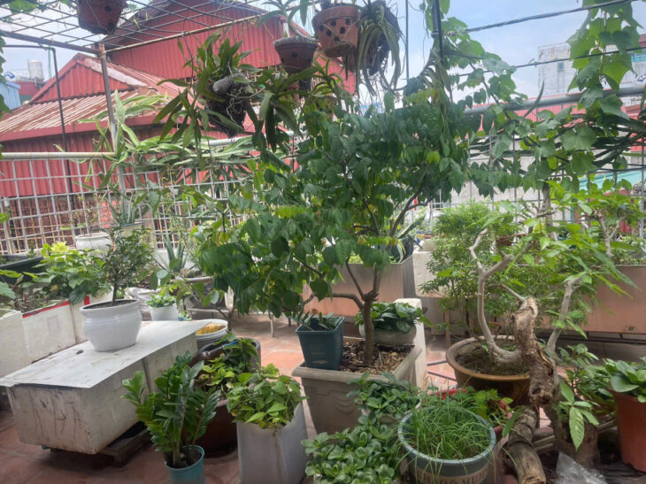 CỰC SỐC CHÍNH CHỦ CẦN BÁN NHÀ PHỐ ĐÀO TẤN QUẬN BA ĐÌNH 35M²x 5 TẦNG NHỈNH 9 TỶ Ô TÔ KD