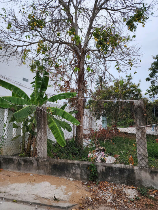 Bán đất Phường 6 Lê Thị Hồng Gấm vô 100m 4x20m Thổ cư Giá 1.6 tỷ Gần Chợ Vòng Nhỏ