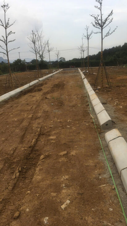 ĐẦU TƯ TỐI THIỂU – LỢI NHUẬN TỐI ĐA