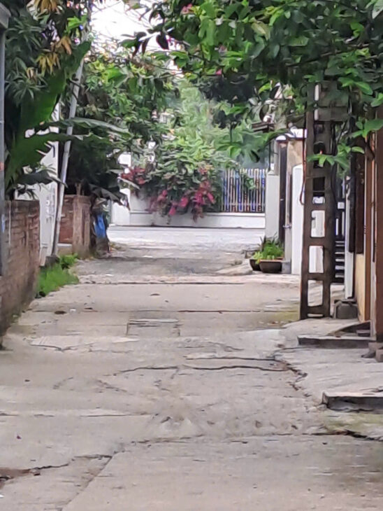 MÌNH CHÍNH CHỦ CẦN BÁN ĐẤT ĐẸP Ở P.TIÊN CÁT- TP VIỆT TRÌ -PHÚ THỌ