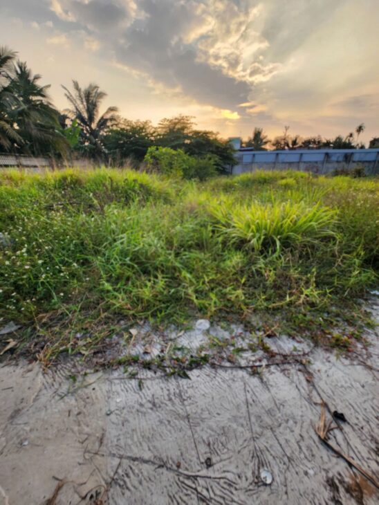 Bán Đất Mỹ Tho 5x30m Thổ cư TL864 vô 50m đường 7 chỗ Giá 930tr