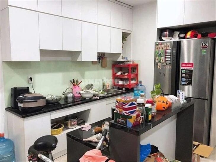 BÁN CĂN HỘ 2 PHÒNG NGỦ FULL NỘI THẤT – TOPAZ ELITE PHOENIX 2 – 79M²- 3,78 tỷ, Q8, TPHCM