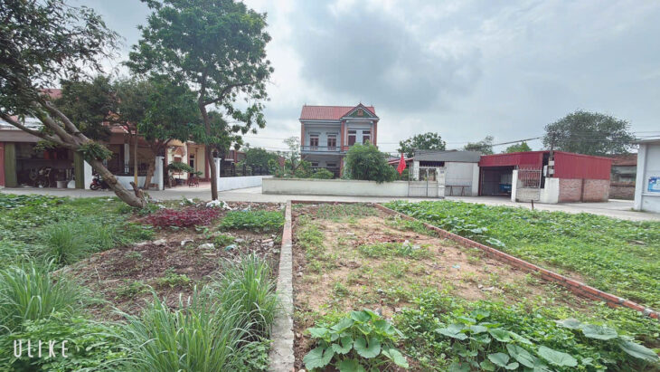 LÔ ĐẤT RƠI TIỀN LÀ THẮNG ĐƯỜNG CHỤC CHÍNH THÔNG RỘNG 6 M DT 80,9 TẠI LẬP TRÍ MINH TRÍ SÓC SƠN HÀ