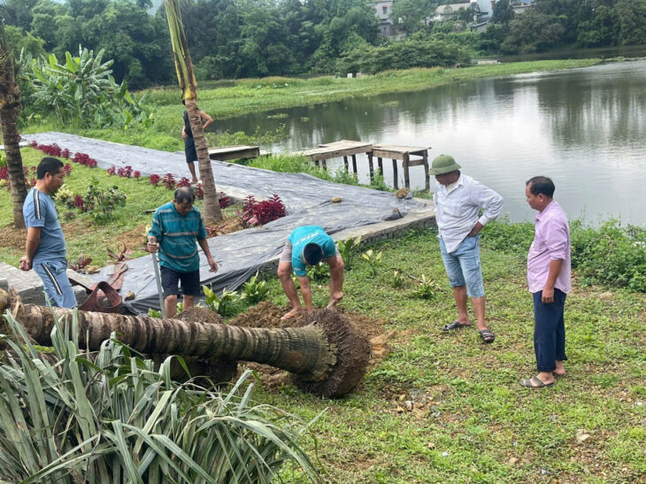 CHÍNH CHỦ CẦN BÁN GẤP LÔ ĐẤT SIÊU ĐẸP TẠI TRUNG TÂM THỊ TRẤN HUYỆN LẠC THỦY – TỈNH HÒA BÌNH