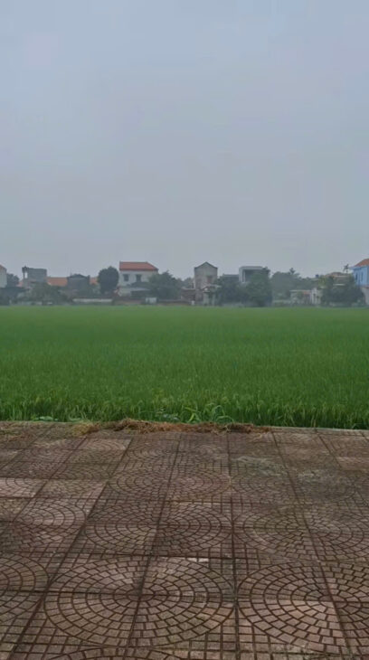 CHÍNH CHỦ CẦN BÁN ĐẤT Ở ĐƯỜNG TƯ THỨC – XÃ NGA THIỆN – HUYỆN NGA SƠN- THANH HÓA