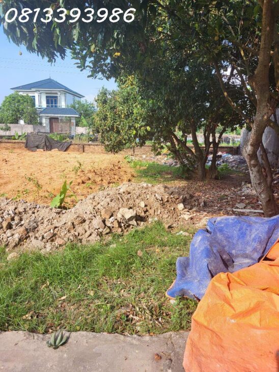 ???? Mua Lô Này – Con Cái Học Gần, Bố Mẹ Kinh Doanh Thuận Lợi!
