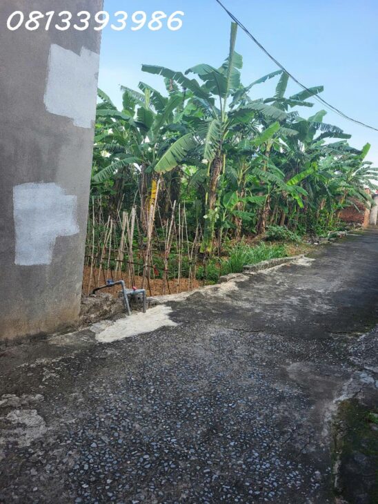 ???? Lô Đất Gần Khu Công Nghiệp – Ở Hay Kinh Doanh Đều Tốt – Giá Cực Hời!