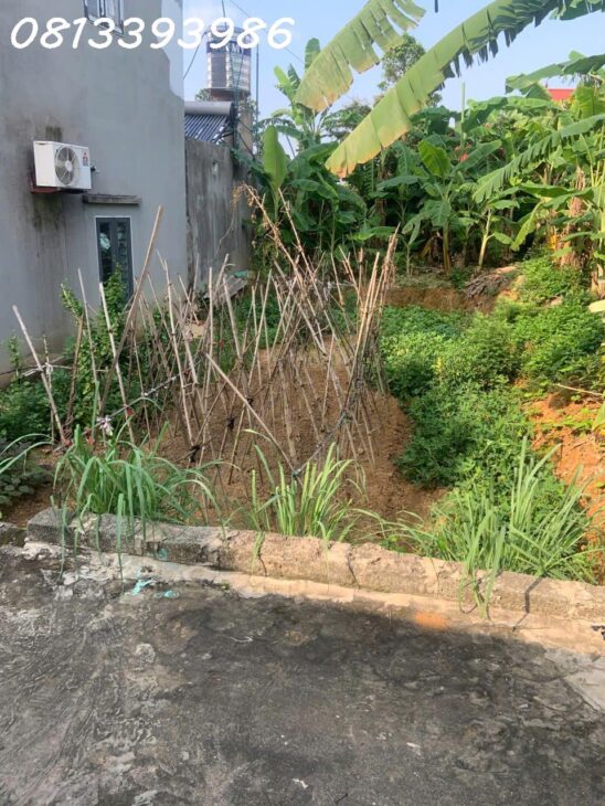 ???? Lô Đất Gần Khu Công Nghiệp – Ở Hay Kinh Doanh Đều Tốt – Giá Cực Hời!